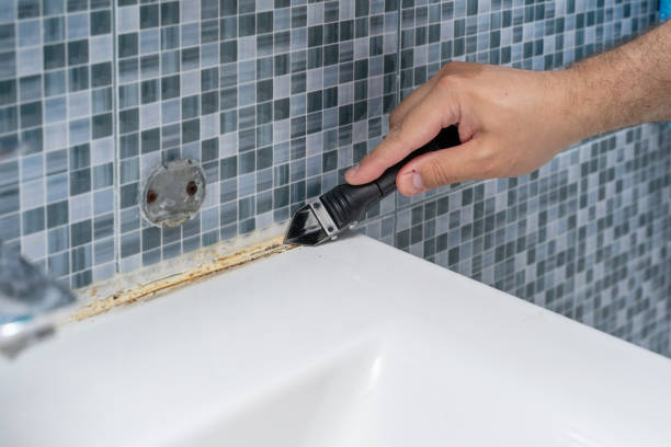 Trusted Gages Lake, IL Mold Remediation Experts